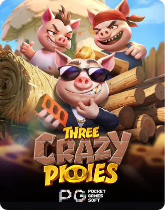 Three Crazy Piggies